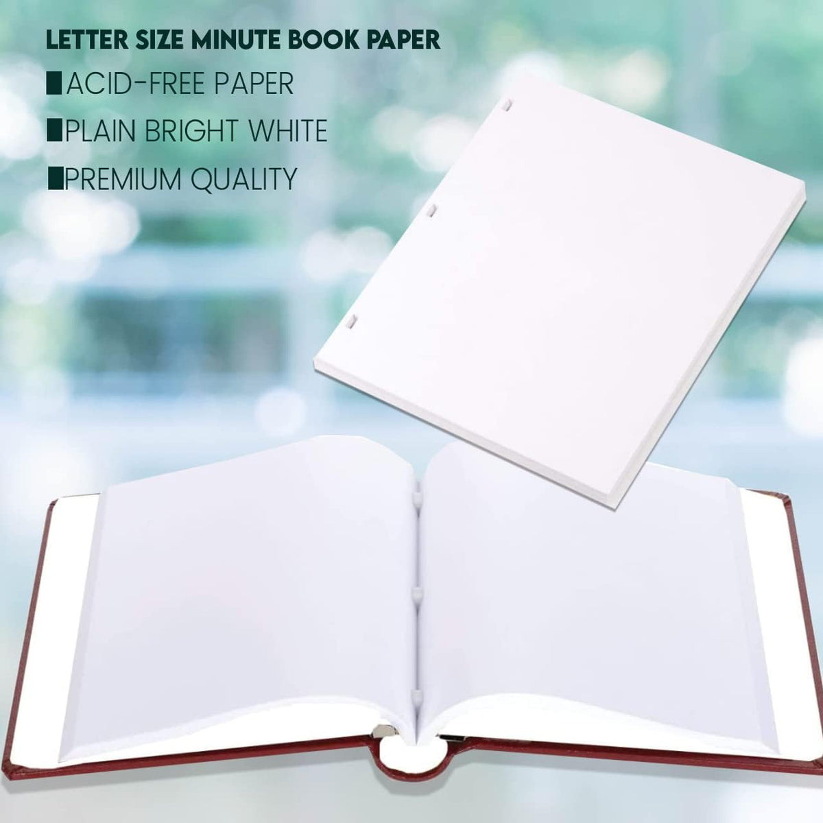 OLMINBKPAPER2 image 2