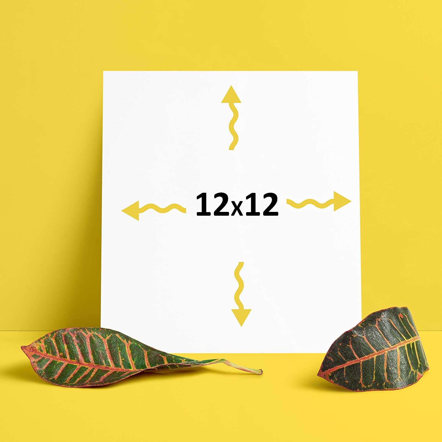 Expanded PVC Sheet – Lightweight Rigid Foam – 3mm (1/8 Inch) – 12 x 12 Inches – White – Ideal for Signage, Displays, and Digital/Screen Printing