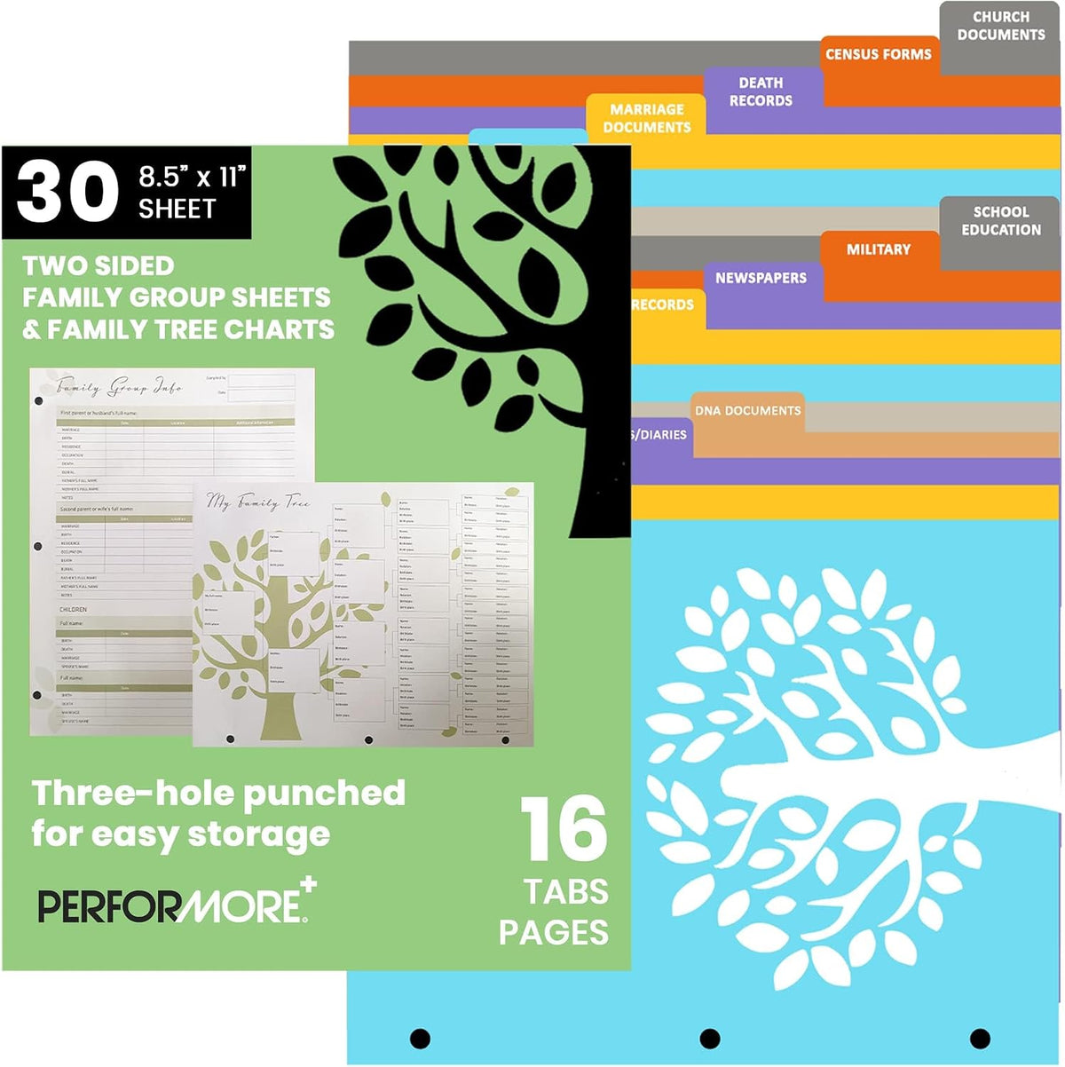 30 Two-Sided Large Family Group Sheets: Comprehensive Ancestral Charts with 3-Hole Punch and Tab Pages, 8.5' x 11' White Premium Matte Paper