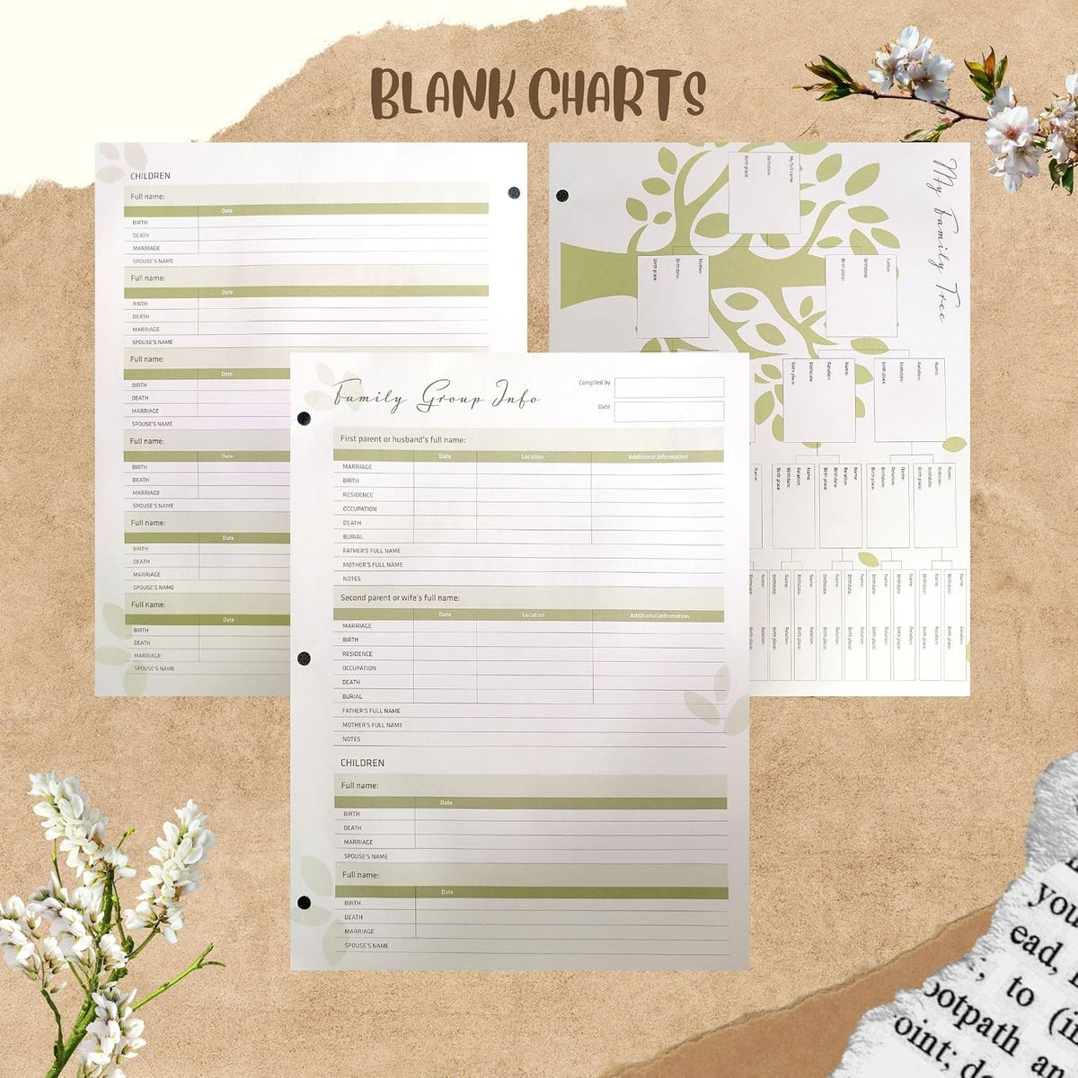 30 Two-Sided Large Family Group Sheets: Comprehensive Ancestral Charts with 3-Hole Punch and Tab Pages, 8.5' x 11' White Premium Matte Paper